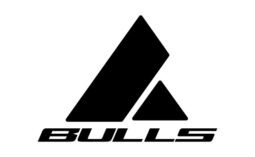 bulls-logo